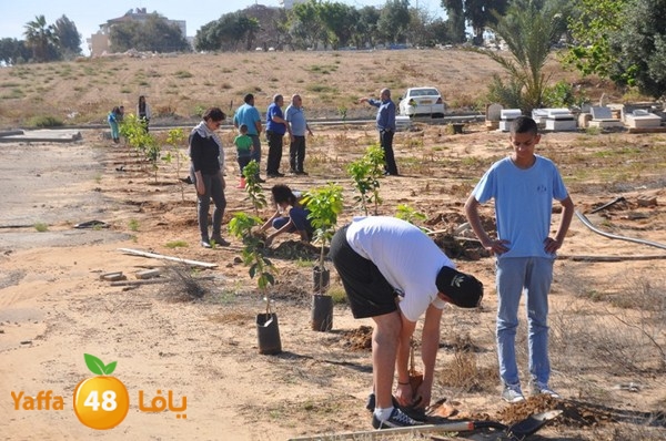 ashjar taso 0328 (36).JPG